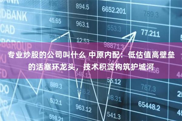 专业炒股的公司叫什么 中原内配:低估值高壁垒的活塞环龙头,技术积淀构筑护城河