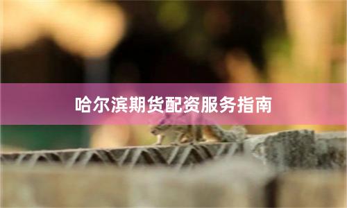 哈尔滨期货配资服务指南