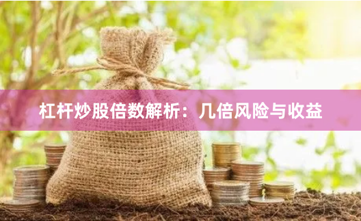 杠杆炒股倍数解析:几倍风险与收益